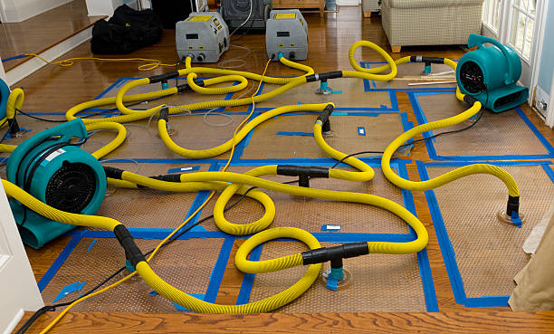 Professional Water Damage Repair technician working in Waring, TX